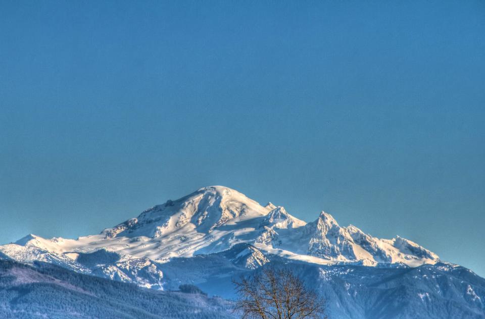 407185_3133305883878_1001700832_33095229_592153104_n