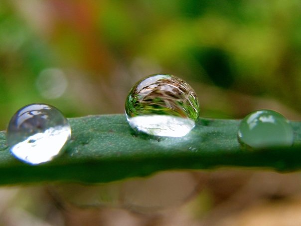 5528_1206984807055_1001700832_30662094_4316537_n