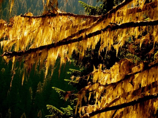 5528_1207807547623_1001700832_30665153_3312050_n