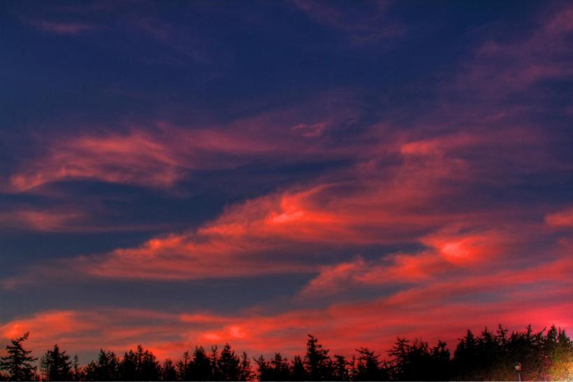 412493_3025308224004_1001700832_33056458_473918684_o