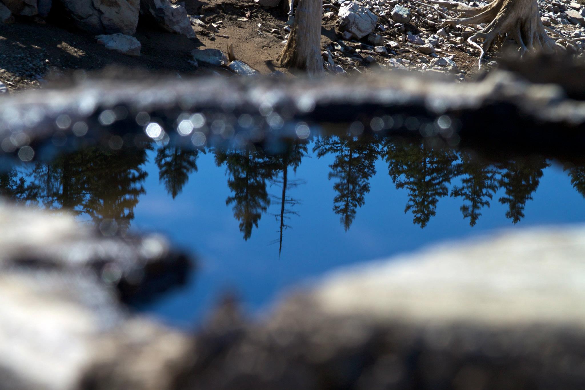 468412_3594884183047_1001700832_33305505_977815291_o