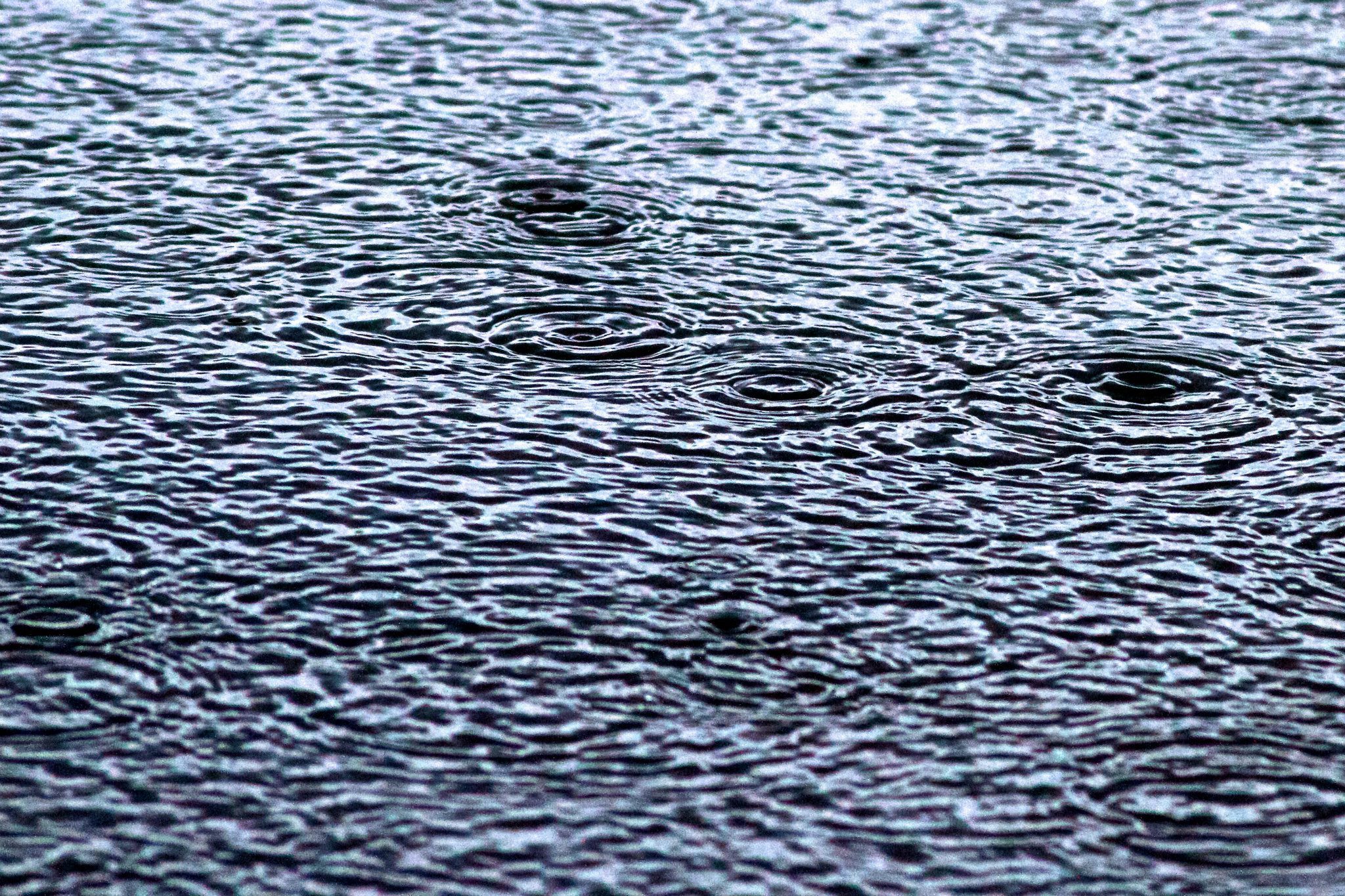 471763_3195568120395_1001700832_33121882_1209447066_o