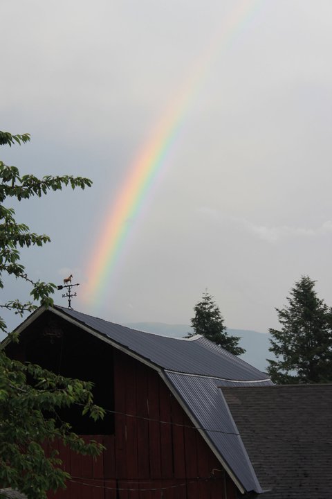 252503_533883712084_1044096_n