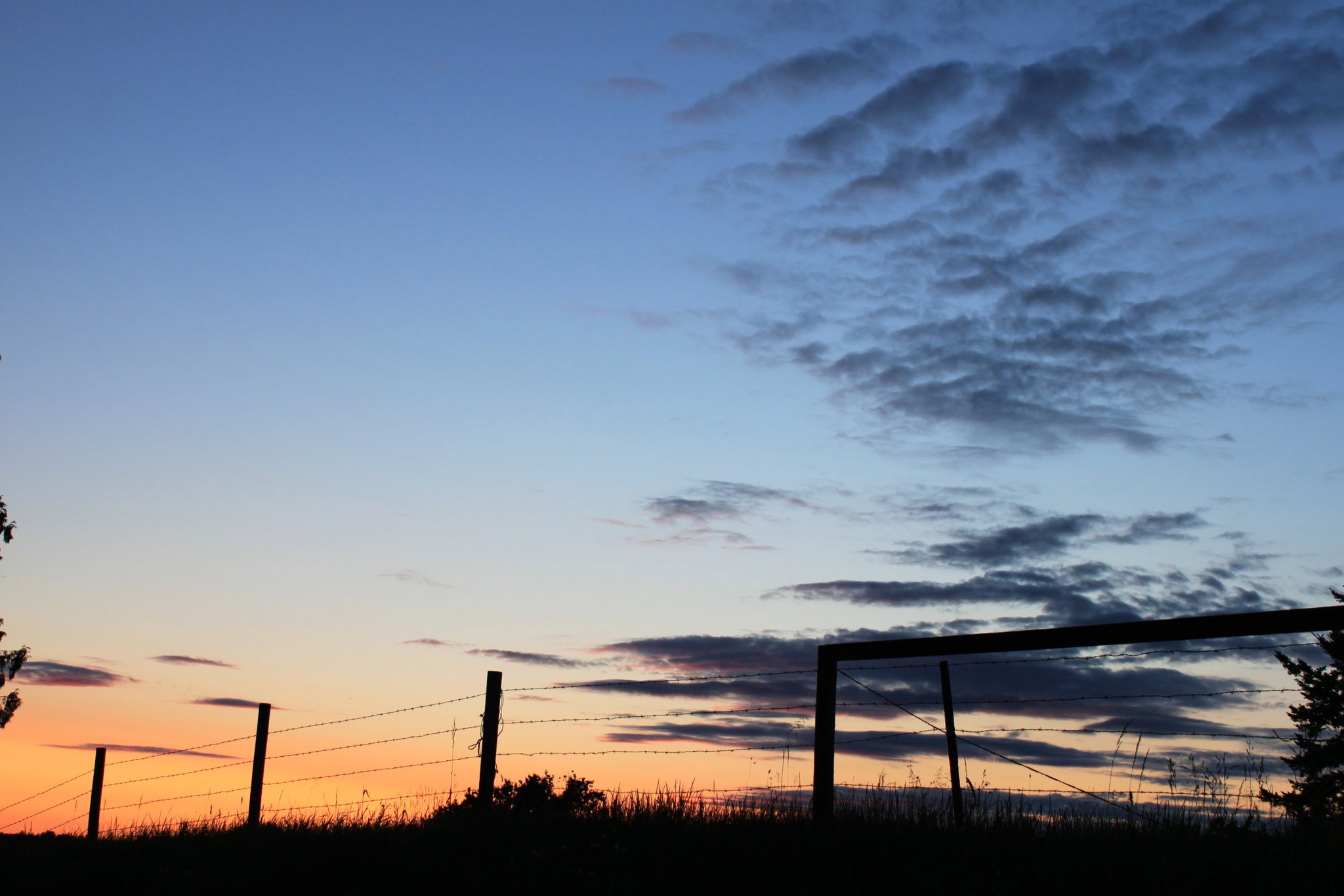 258352_530602782094_3297623_o