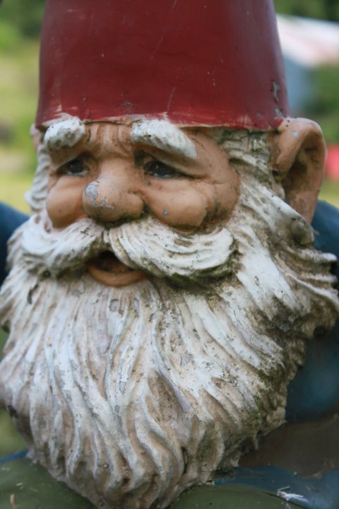 265191_530772491994_1651502_n