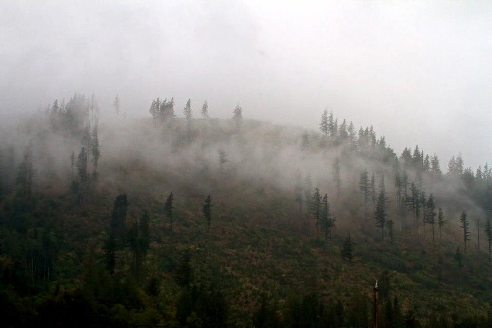 298710_2346105764367_7485919_n