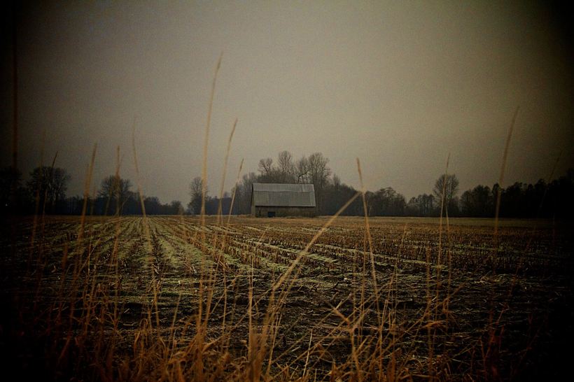 photo by Josh Scholten