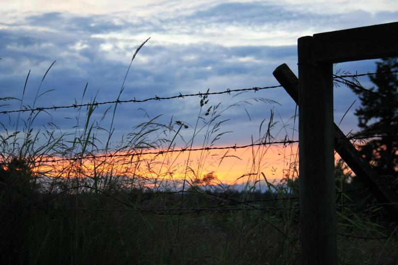 338727_557084382754_1456075209_o