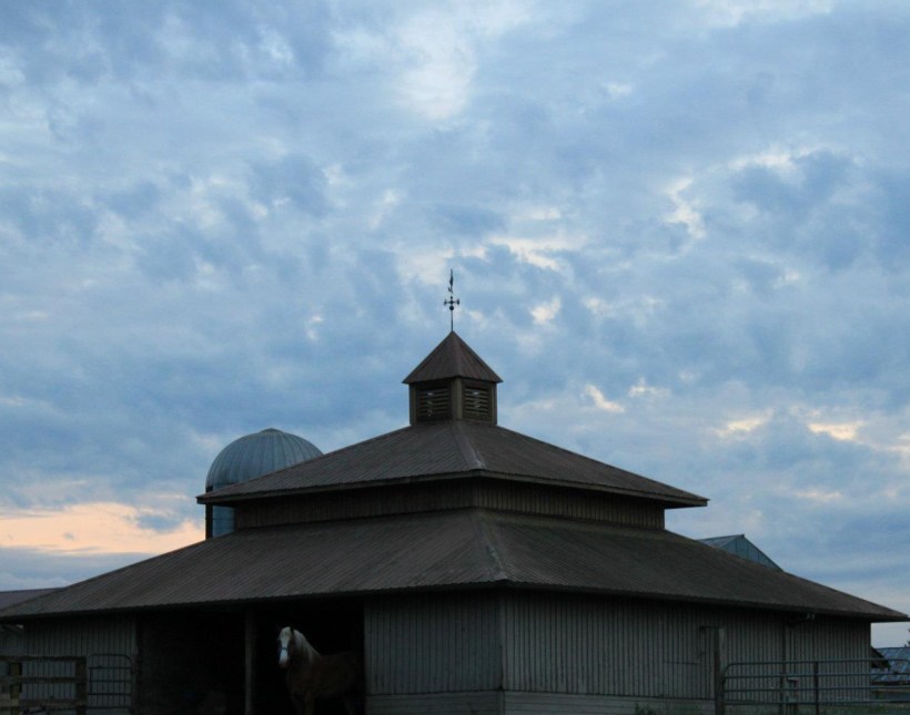 470172_556814453694_1692106764_o