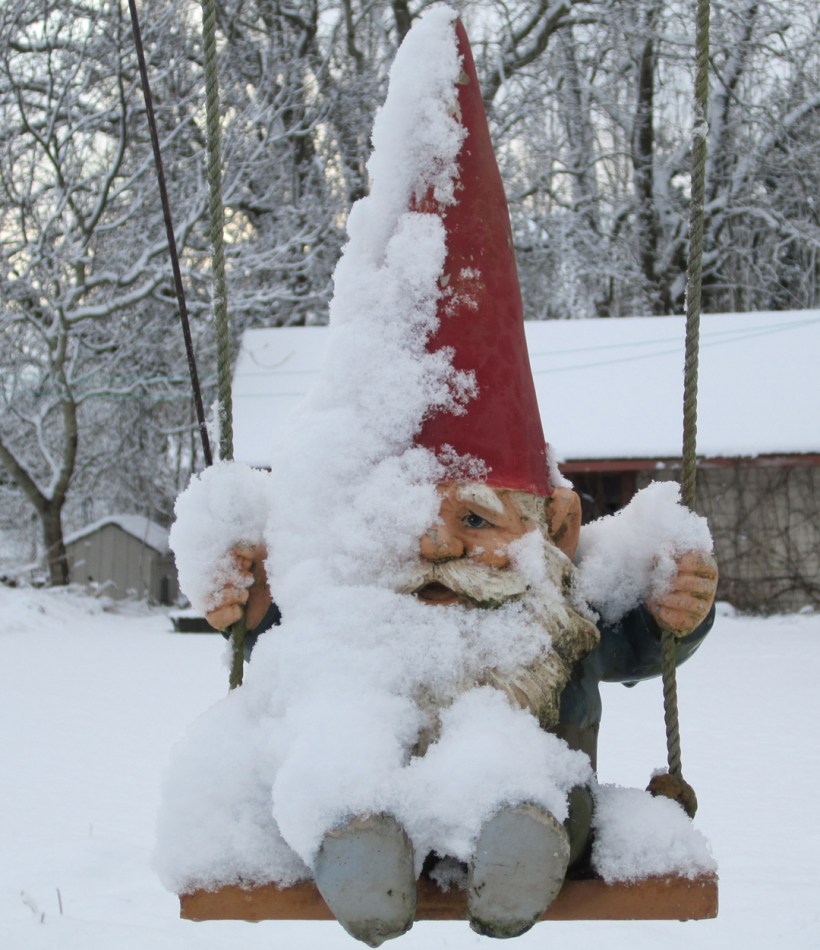 gnomie
