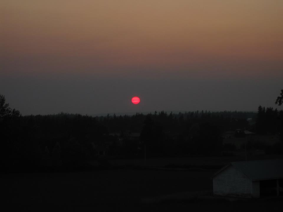 165820_557638771754_1517872382_n