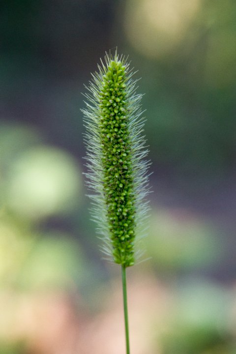 39798_1519136010640_548040_n