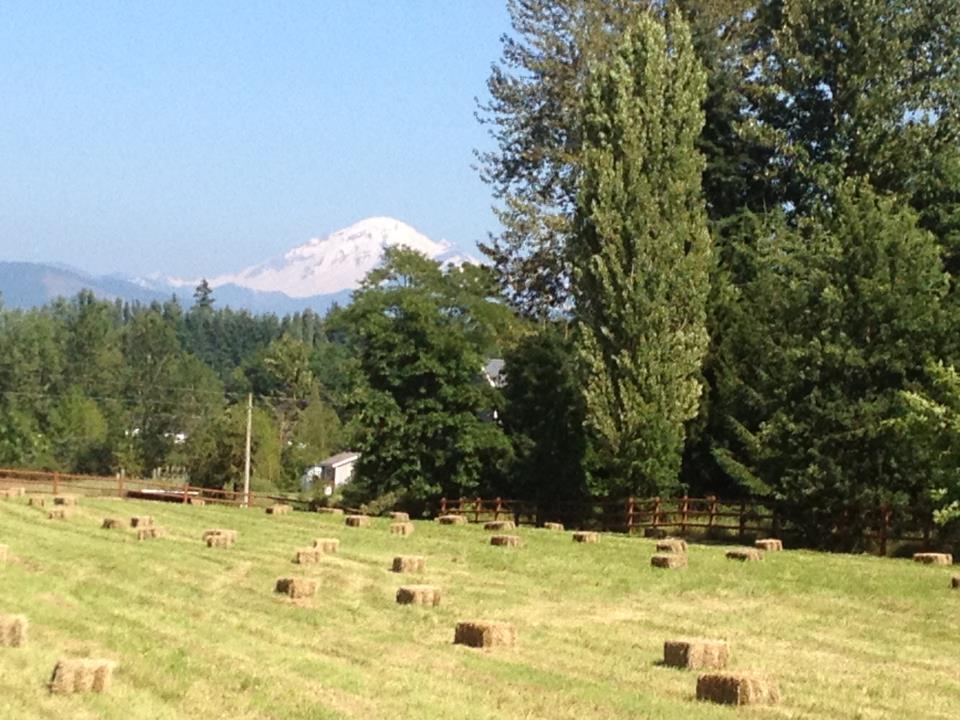 487347_557730163604_27284602_n