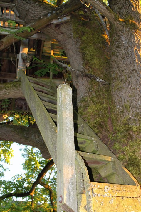 36938_517503957244_2772197_n