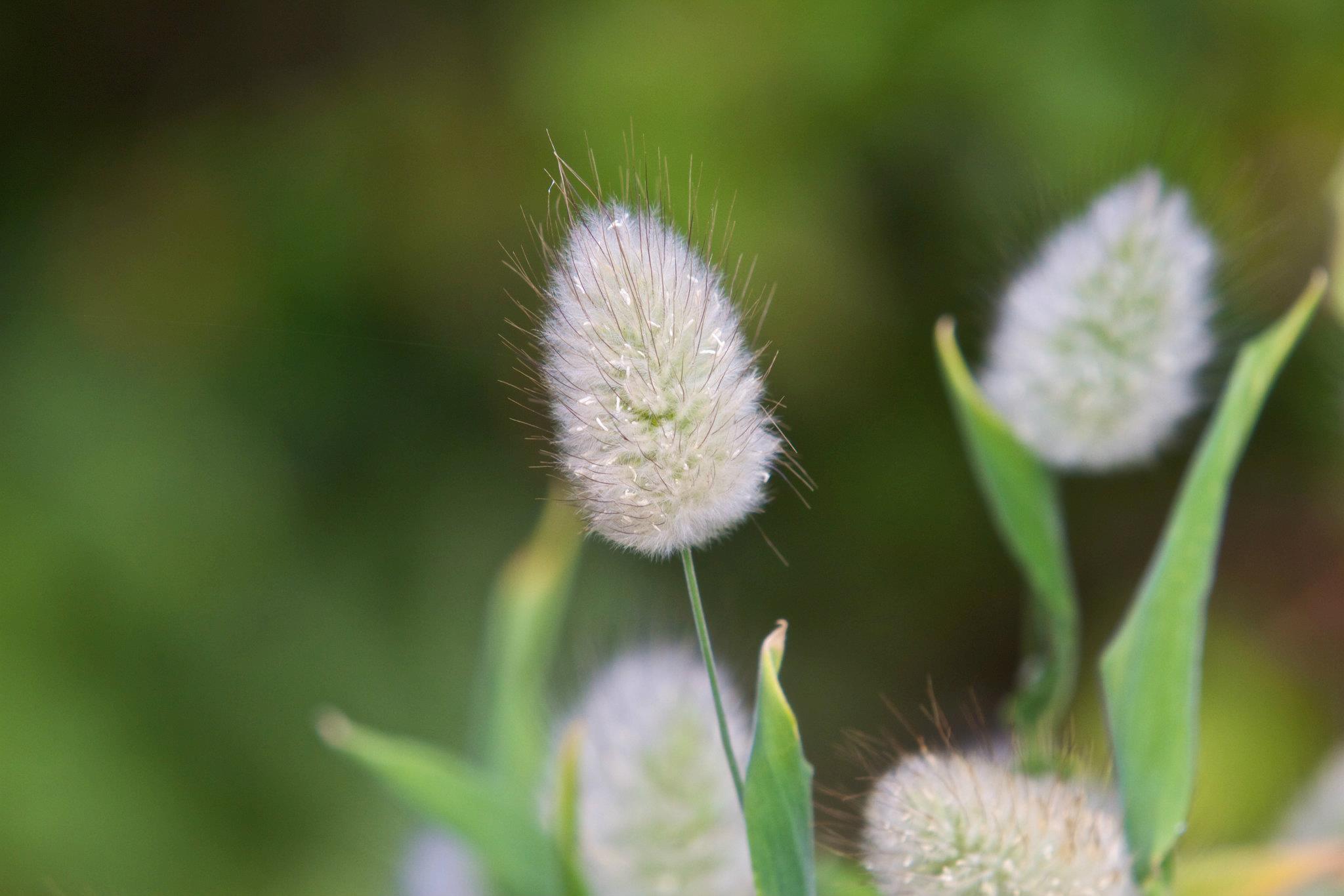 178090_3902372230056_449413403_o