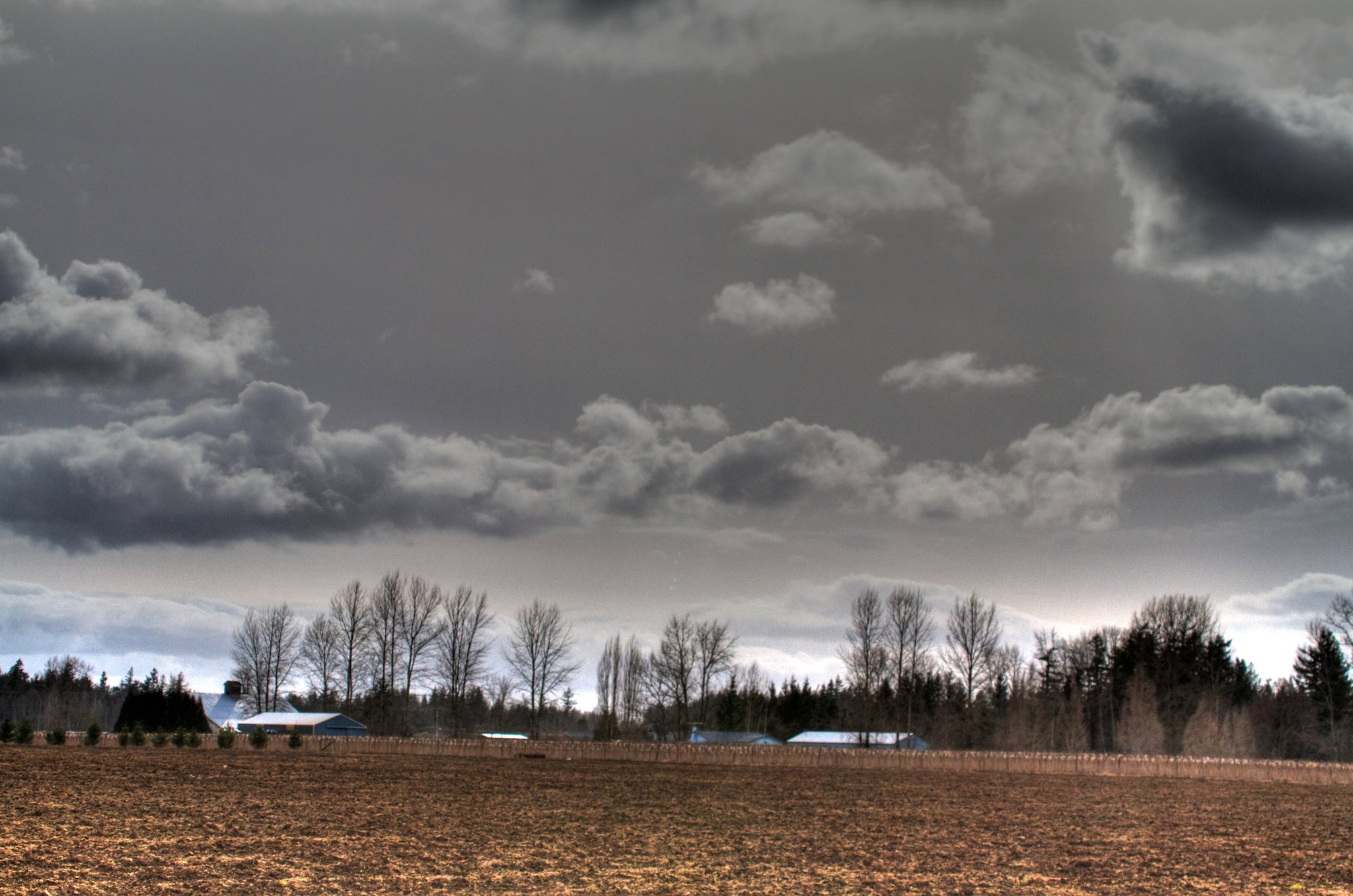 photo by Josh Scholten