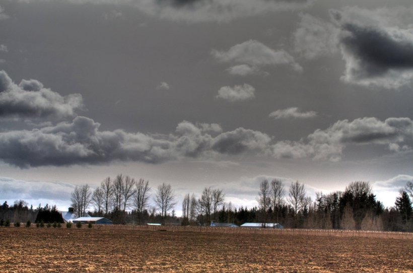 photo by Josh Scholten