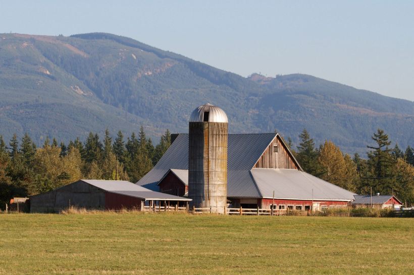 220666_4204881592601_564715860_o