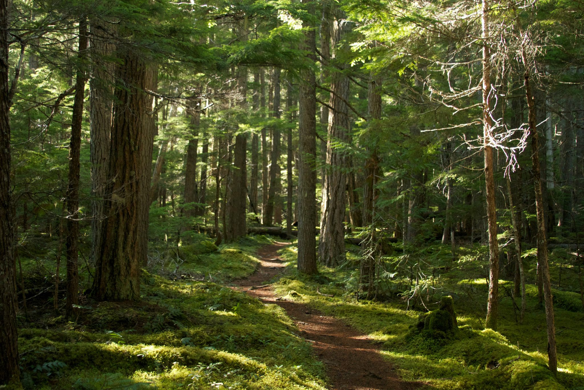 327486_2395201351726_155178851_o