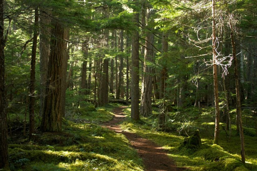 327486_2395201351726_155178851_o