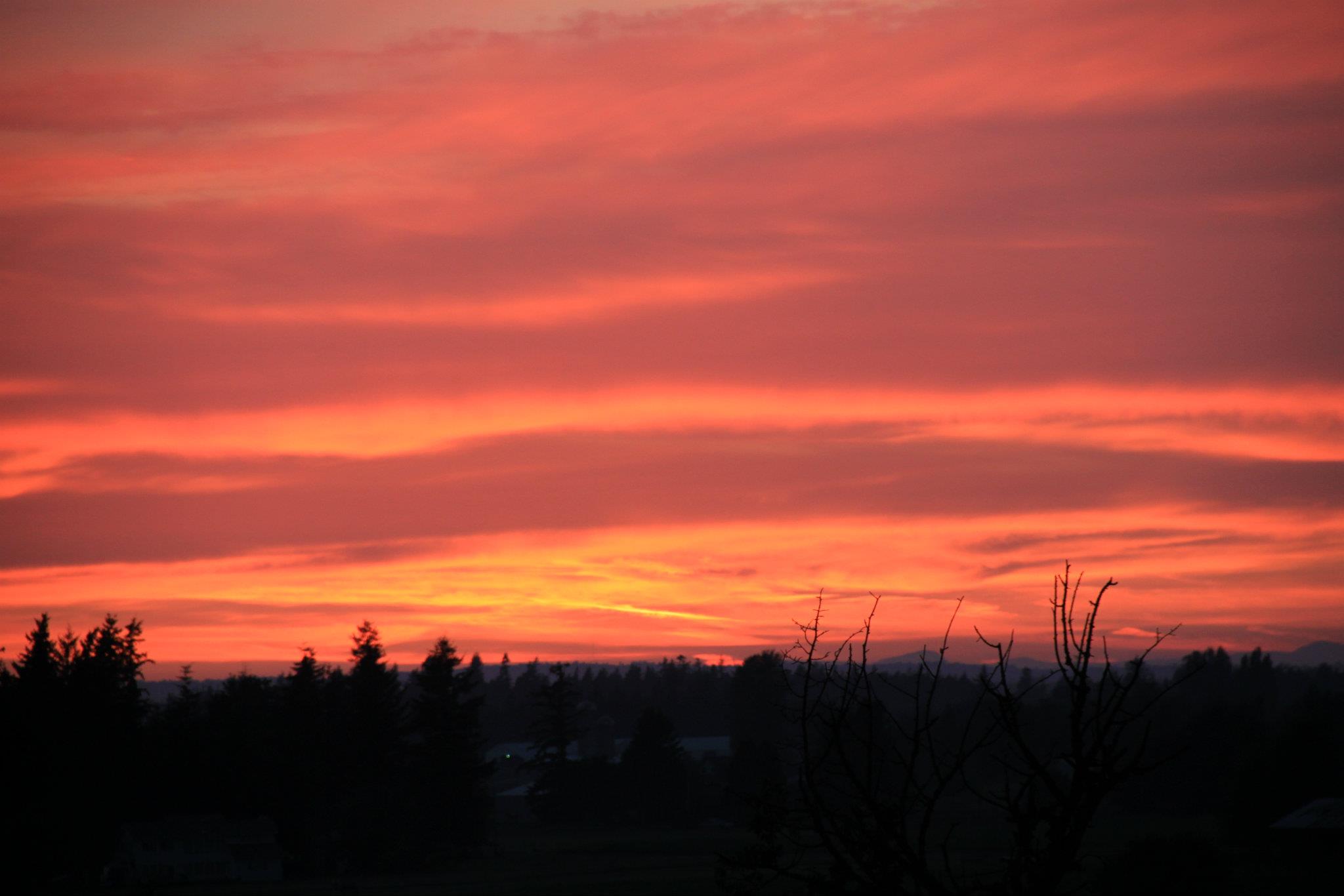 329392_558246069724_1785740492_o