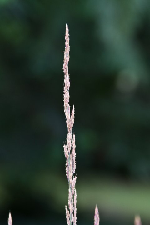 39011_1509821137774_5033429_n