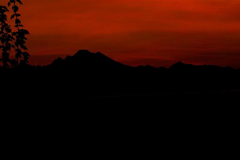 474882_3713054297226_924097365_o