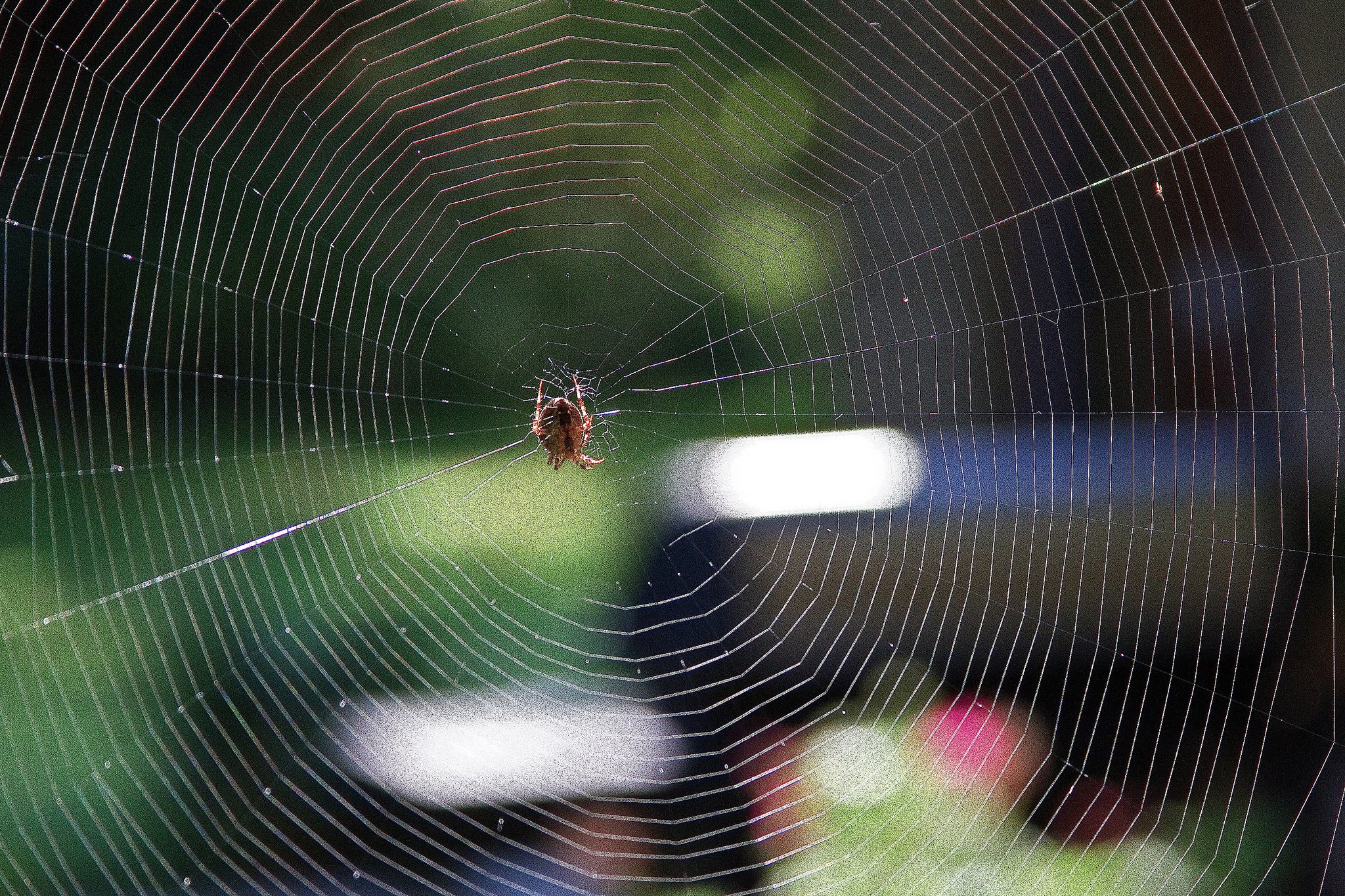 53760_1591929830440_907951_o