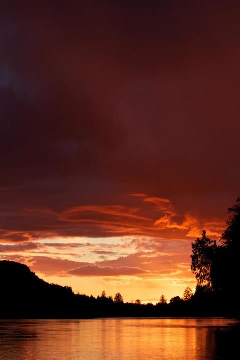 550364_4204880792581_1815009693_n