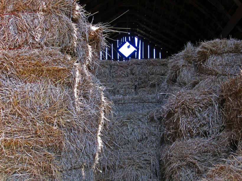 hayfull