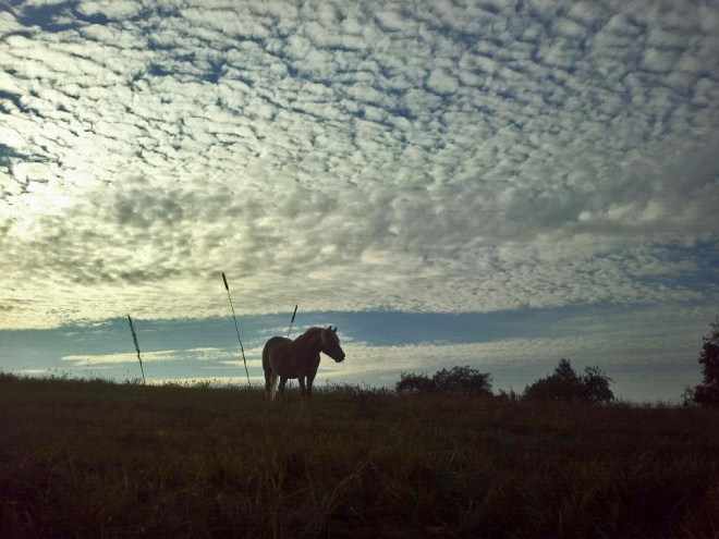 photo by Emily Dieleman