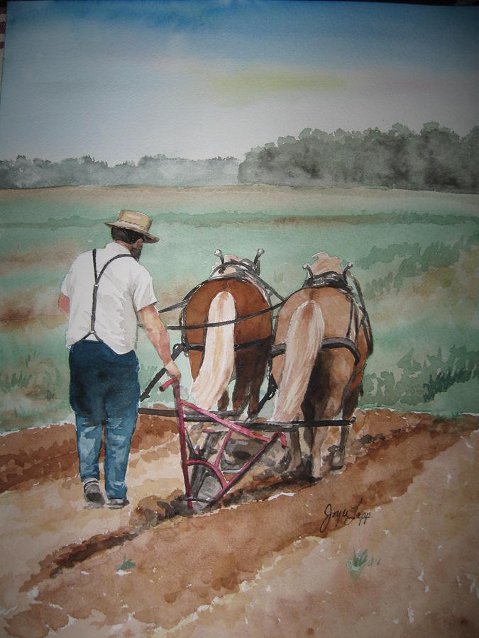 plowing-the-field-joyce-lapp