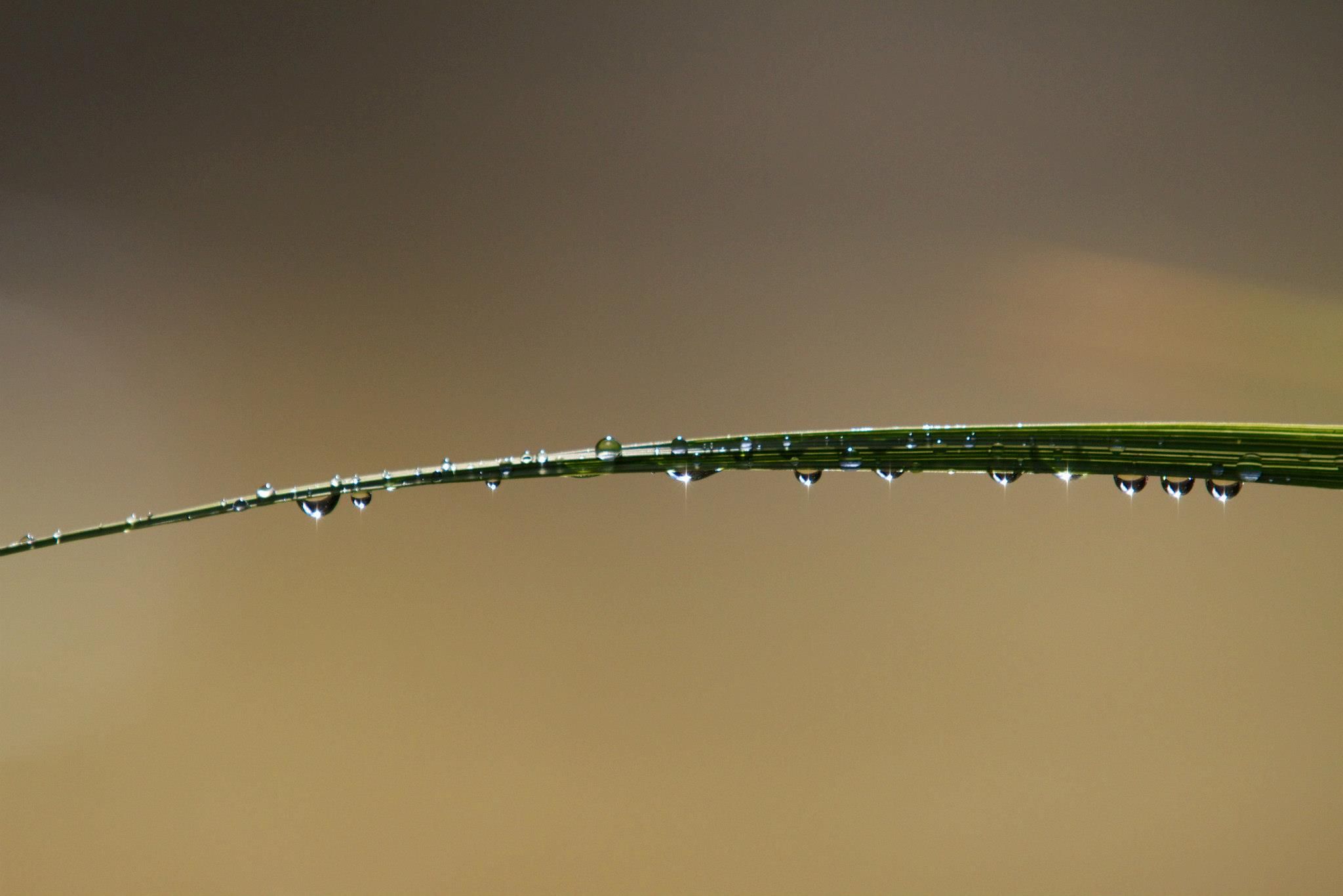 178490_4347327513660_1364492596_o