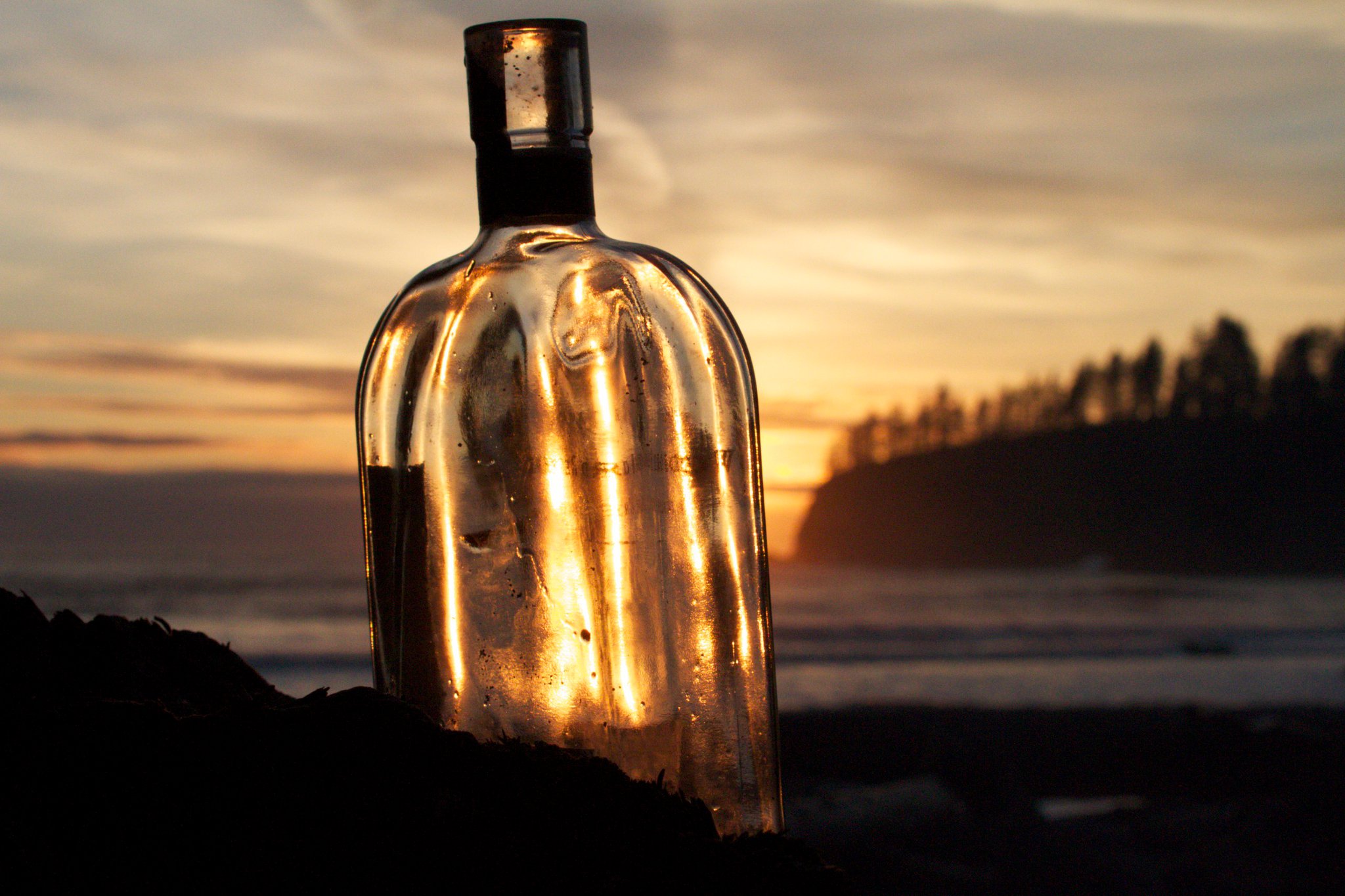 202104_1848226557698_3535499_o