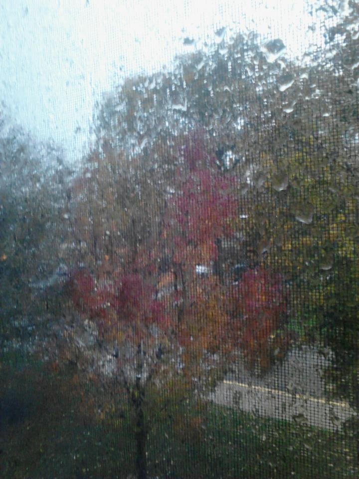 246579_4754229772825_1004605967_n