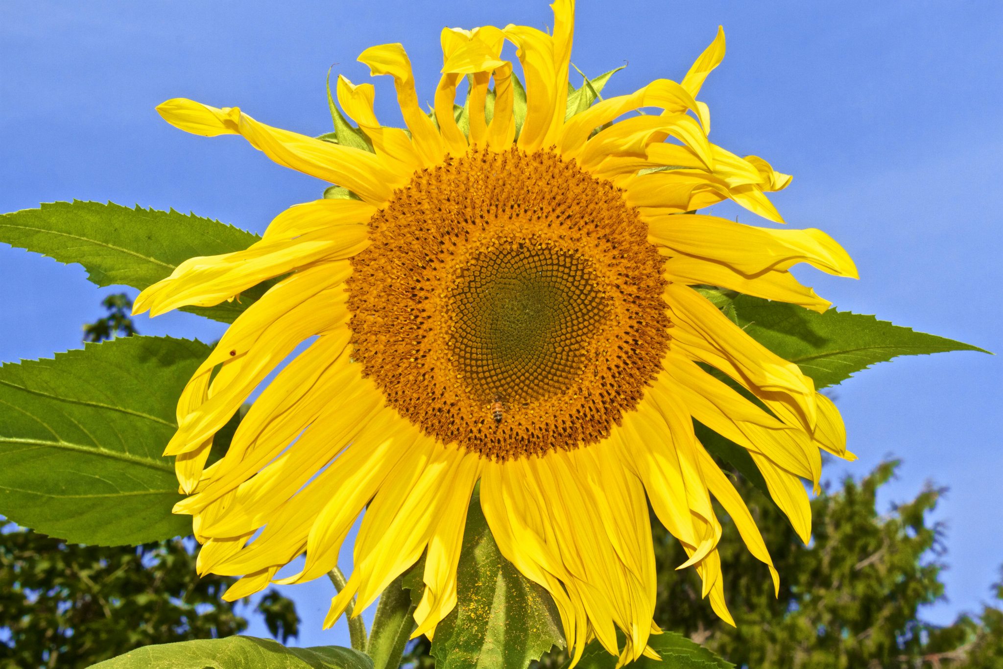 334996_2305139580238_2116871104_o