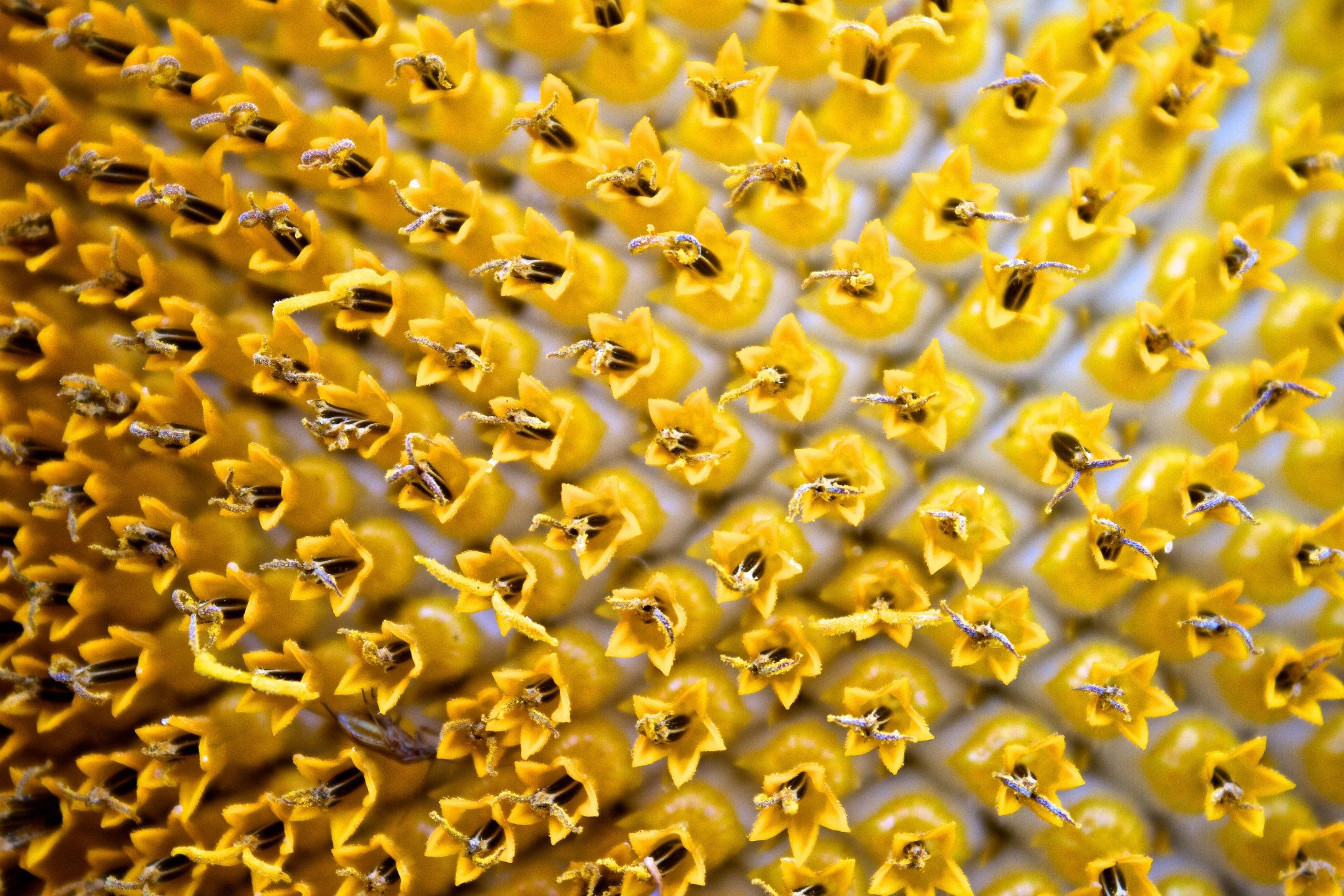 338455_2482428212343_1834858306_o