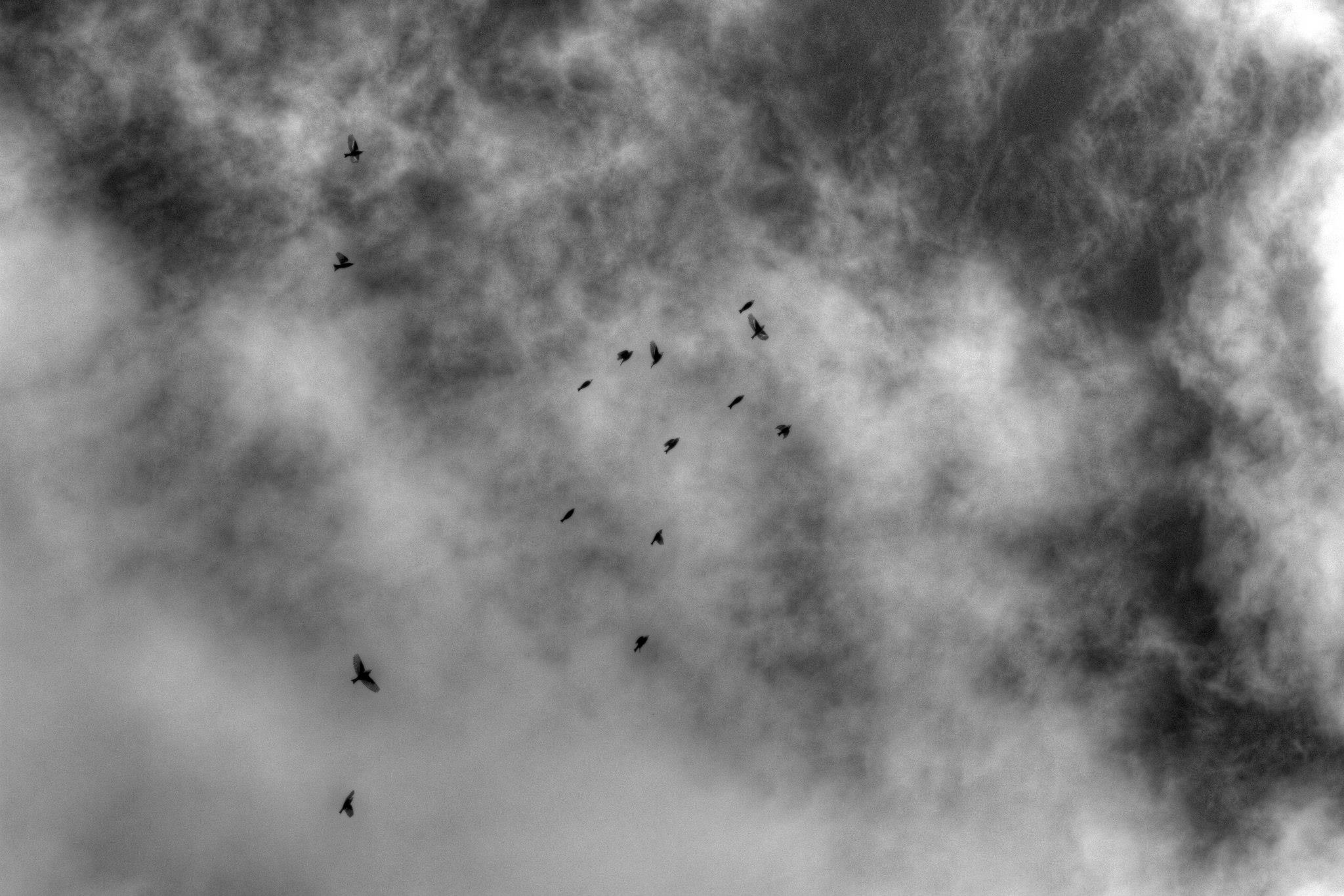 52860_4347335073849_1531682103_o