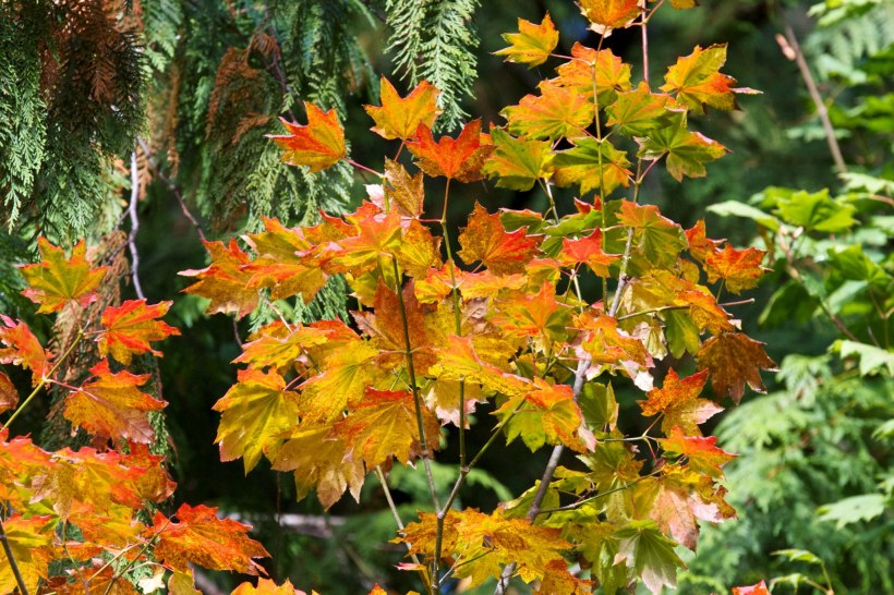 53674_4347347434158_2049612341_o