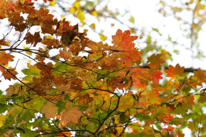 photo by Josh Scholten