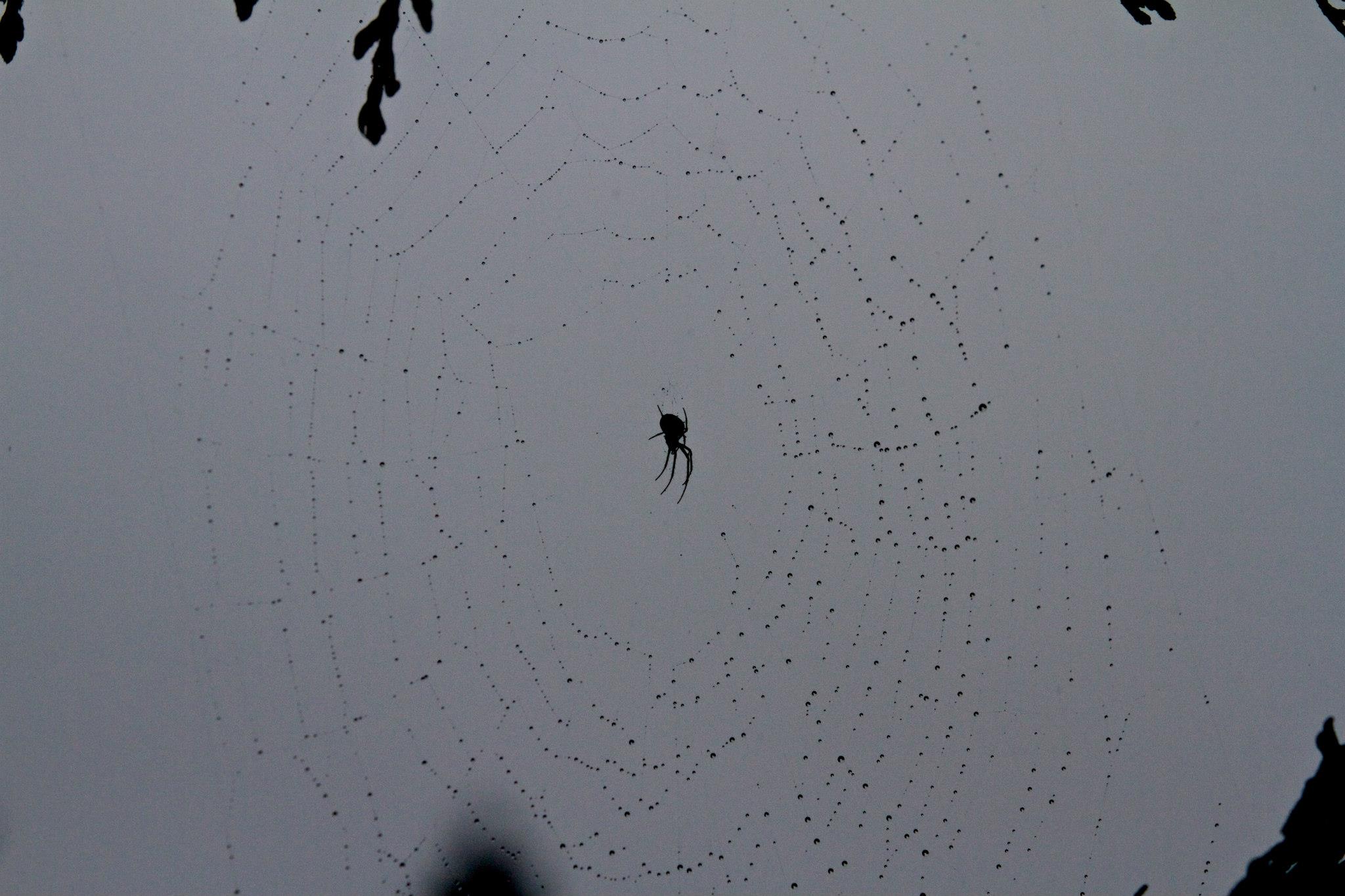 177298_4336946614144_1549007295_o