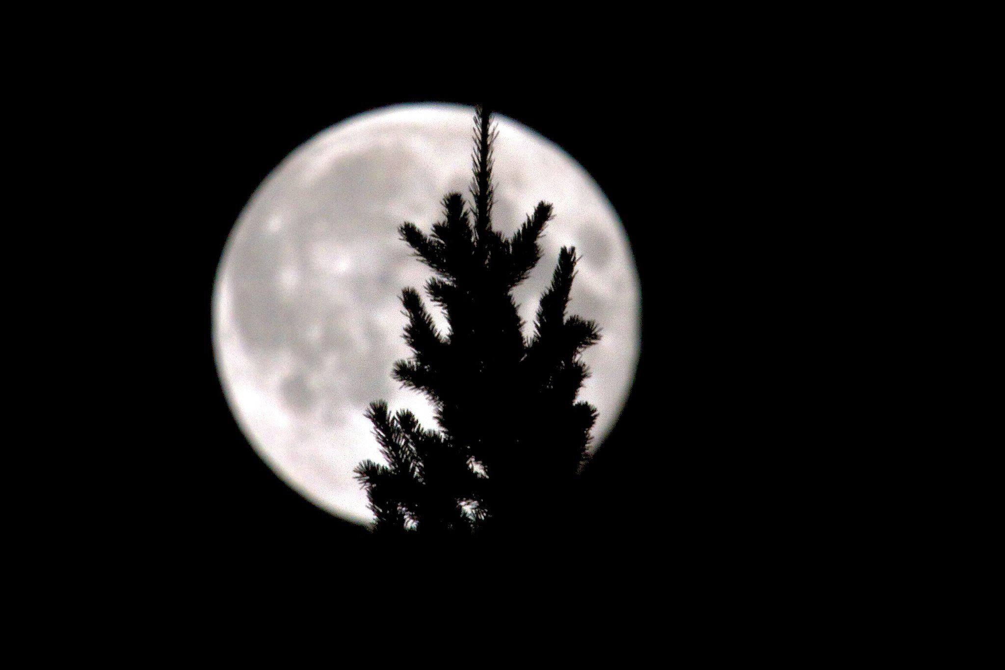 photo by Josh Scholten