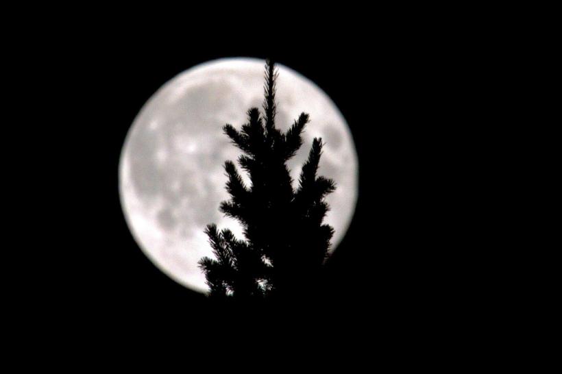 photo by Josh Scholten