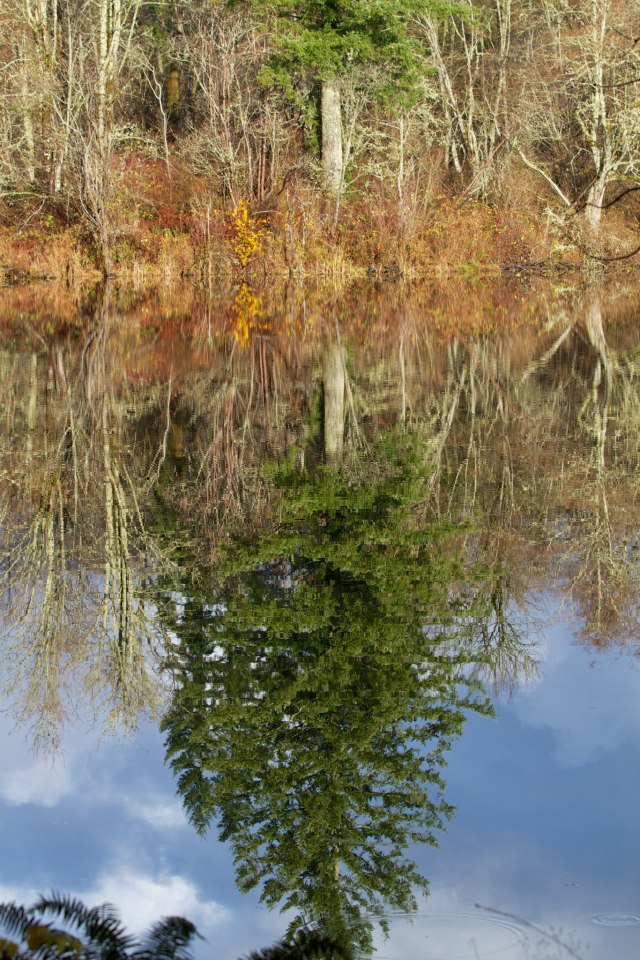 534656_4529110458120_269215232_n