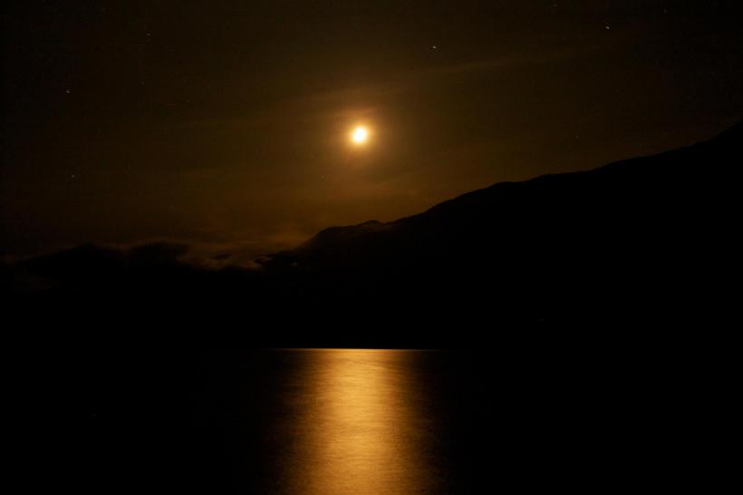 photo by Josh Scholten