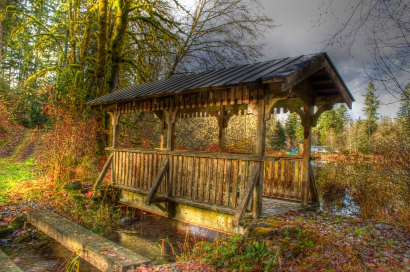 704286_4529102417919_709352316_o