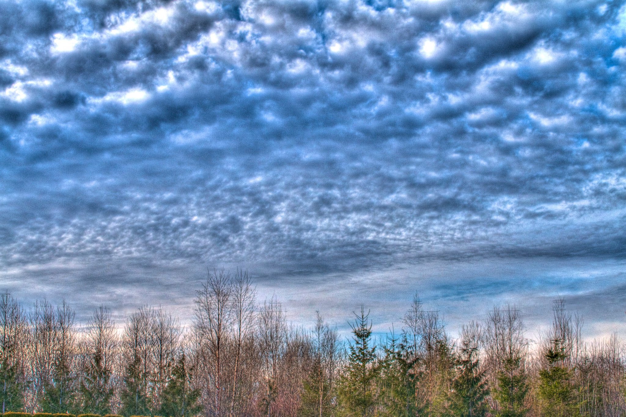 photo by Josh Scholten