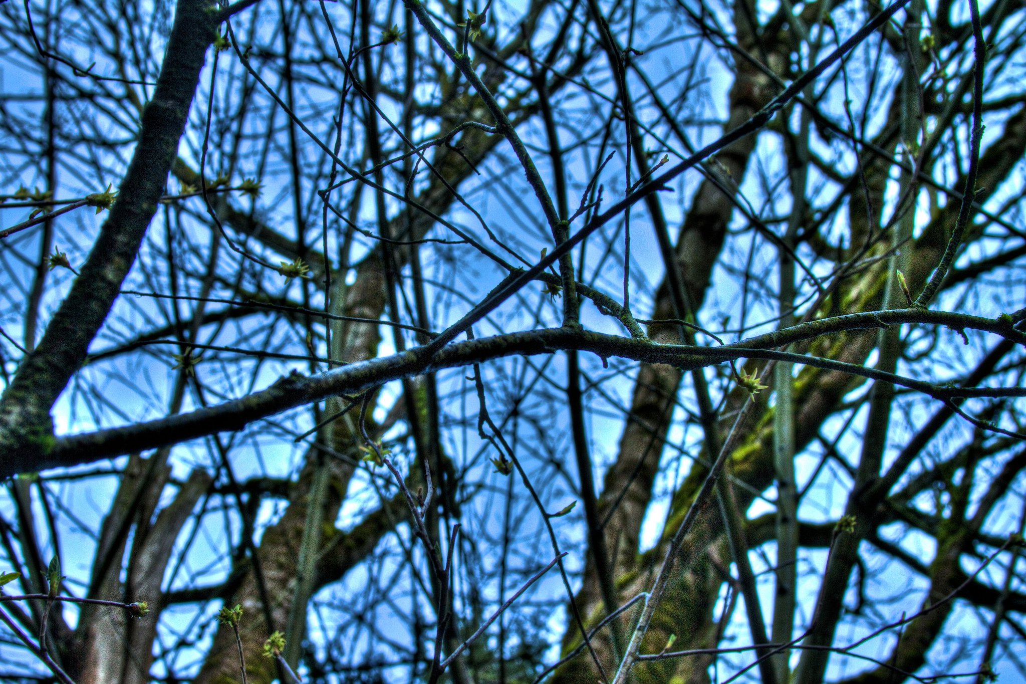 photo by Josh Scholten