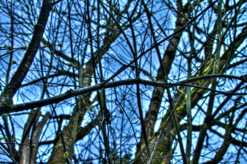 photo by Josh Scholten