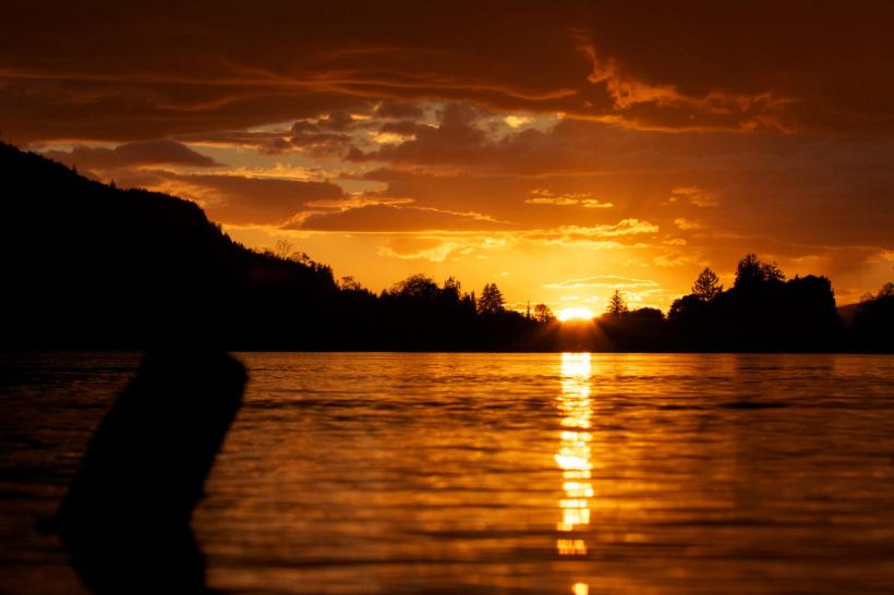 photo by Josh Scholten